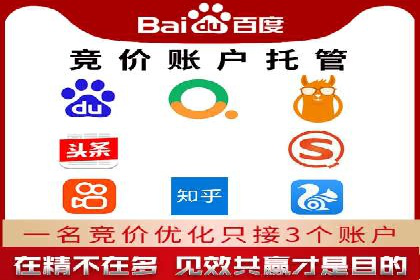 百度推广竞价全解析：某电商平台的营销策略